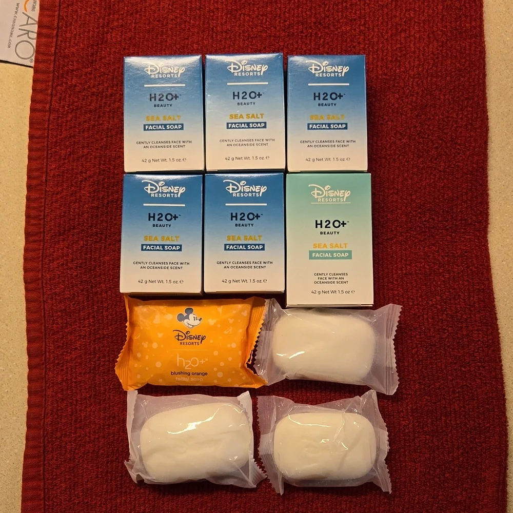 Disney Resorts H20+ facial soap bundle sea salt